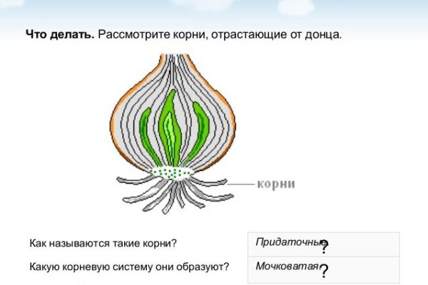 Кракен 16 даркнет продаж